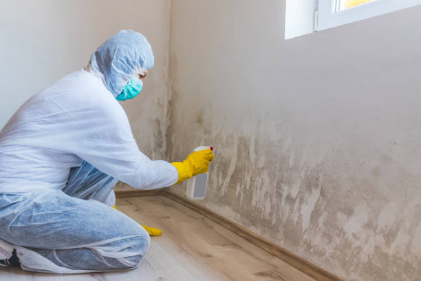 Crawl Space Mold Remediation treatment of floor joists in Lincolnshire